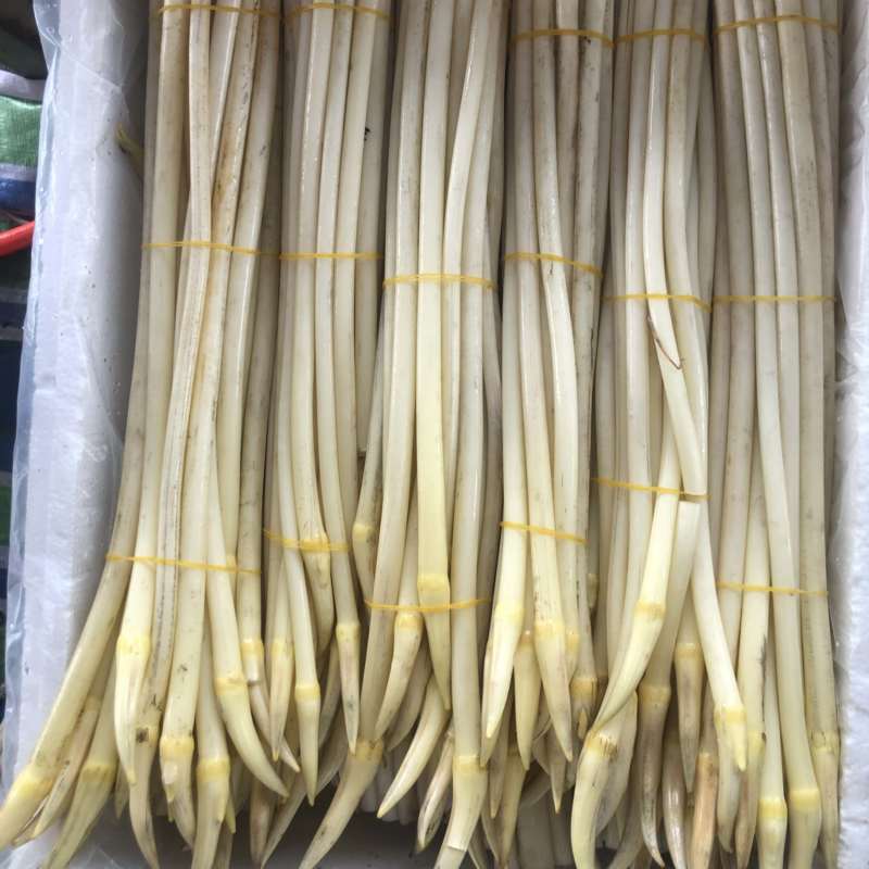 湖北仙桃藕带，诚信经营，保证质量，主营b货和真空包
