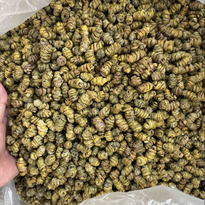 云南西双版纳基地直发，一手货源品质保证（铁皮石斛枫斗）