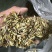 西双版纳产地（铁皮石斛切片）胶质多，化渣，