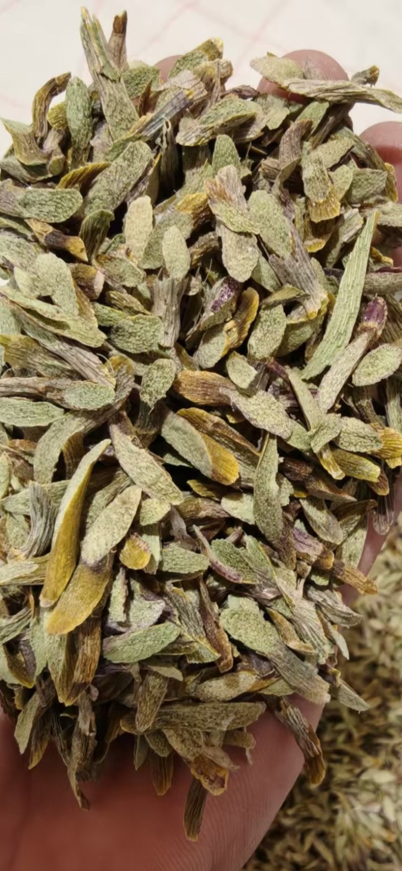 西双版纳产地（铁皮石斛切片）胶质多，化渣，