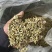 西双版纳产地（铁皮石斛切片）胶质多，化渣，