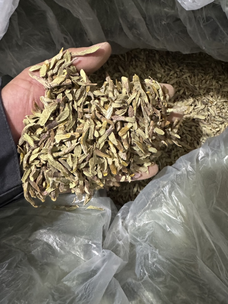西双版纳产地（铁皮石斛切片）胶质多，化渣，