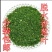 云南精品干葱，全自动一体烘烤，质量保证。