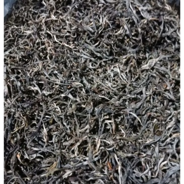 云南古树普洱茶场地直销自然量晒口感回味