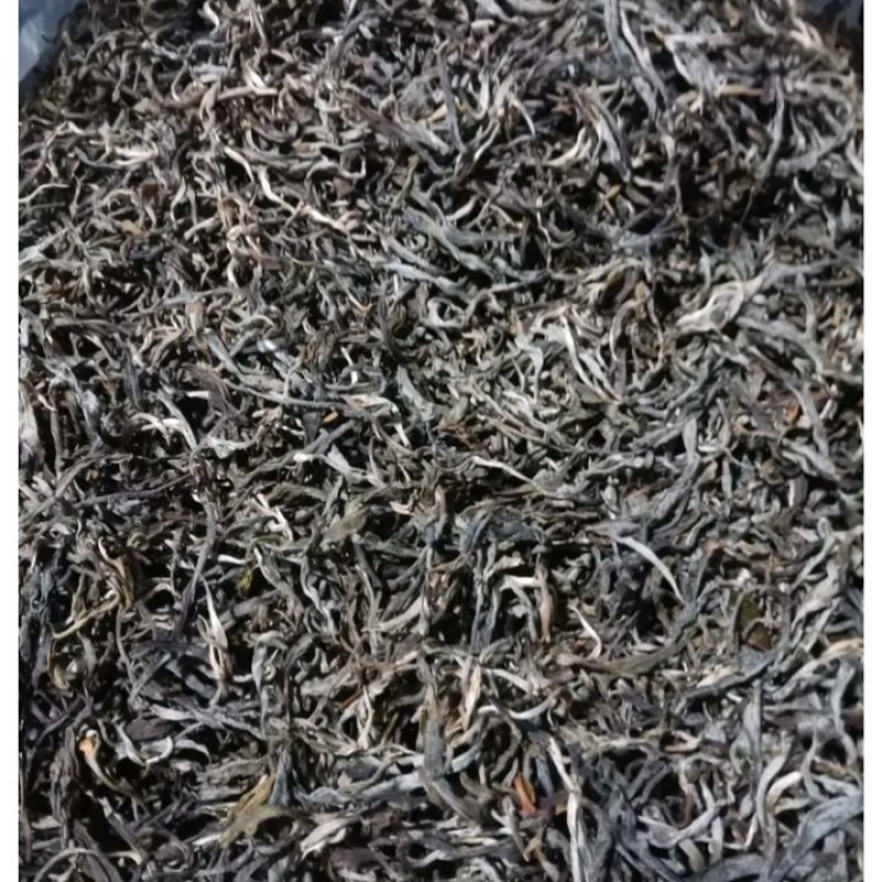 云南古树普洱茶场地直销自然量晒口感回味