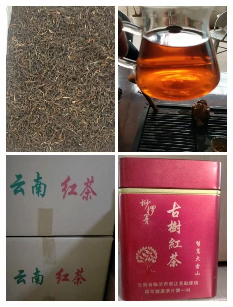 云南古树普洱茶场地直销自然量晒口感回味