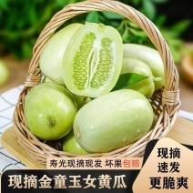 好品质寿光玉女黄瓜一件代发2/3/5斤包邮包售后电商代发