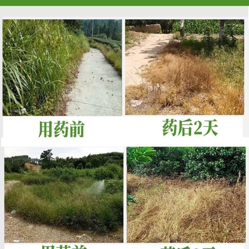 20%敌草快非耕地除草剂见效快不伤根不伤地正品