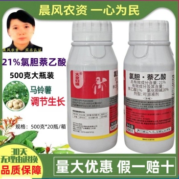 大业归根21%氯化胆碱萘乙酸马铃薯土豆膨大增产植物生长