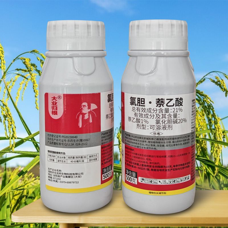 大业归根21%氯化胆碱萘乙酸马铃薯土豆膨大增产植物生长