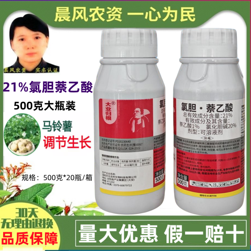 大业归根21%氯化胆碱萘乙酸马铃薯土豆膨大增产植物生长