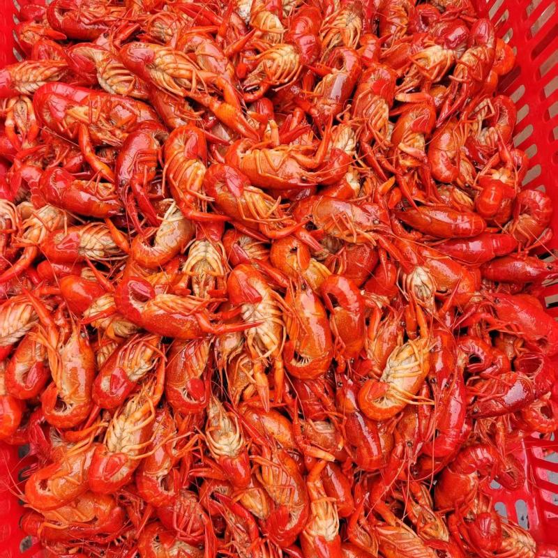 鲜活小龙虾现捞现炸，免费死亡和损耗，节约了做虾时间和成本