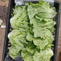 【优质推荐】供应全国商超丶市场产地直发