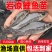 岩原鲤鱼苗墨鲤特种鱼苗抗病能力强成活率高