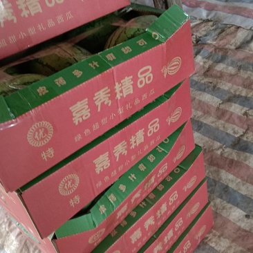湖北江夏基地大量嘉秀6号上市！欢迎全国客商订单！