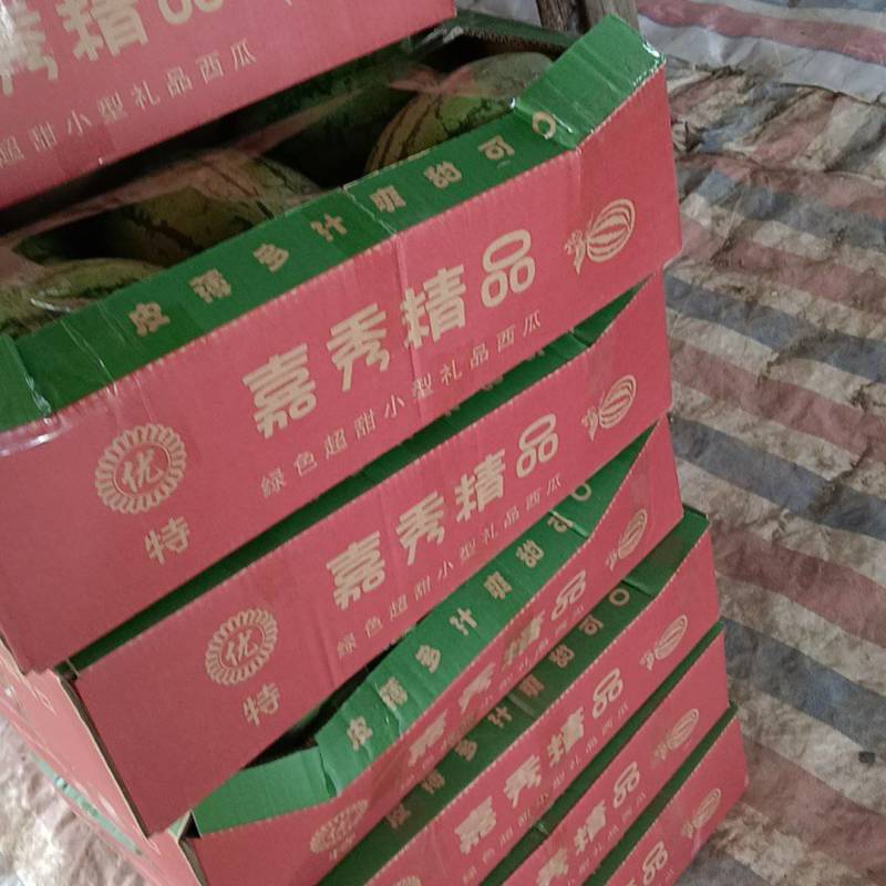 湖北江夏基地大量嘉秀6号上市！欢迎全国客商订单！