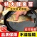 建鲤鱼苗福瑞鲤禾花鲤基地直销一手货源可全国各地配送