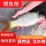 建鲤鱼苗福瑞鲤禾花鲤基地直销一手货源可全国各地配送