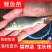 建鲤鱼苗福瑞鲤禾花鲤基地直销一手货源可全国各地配送