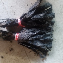 干海带头，海带片产地直供，品质保证，健康美味特惠！