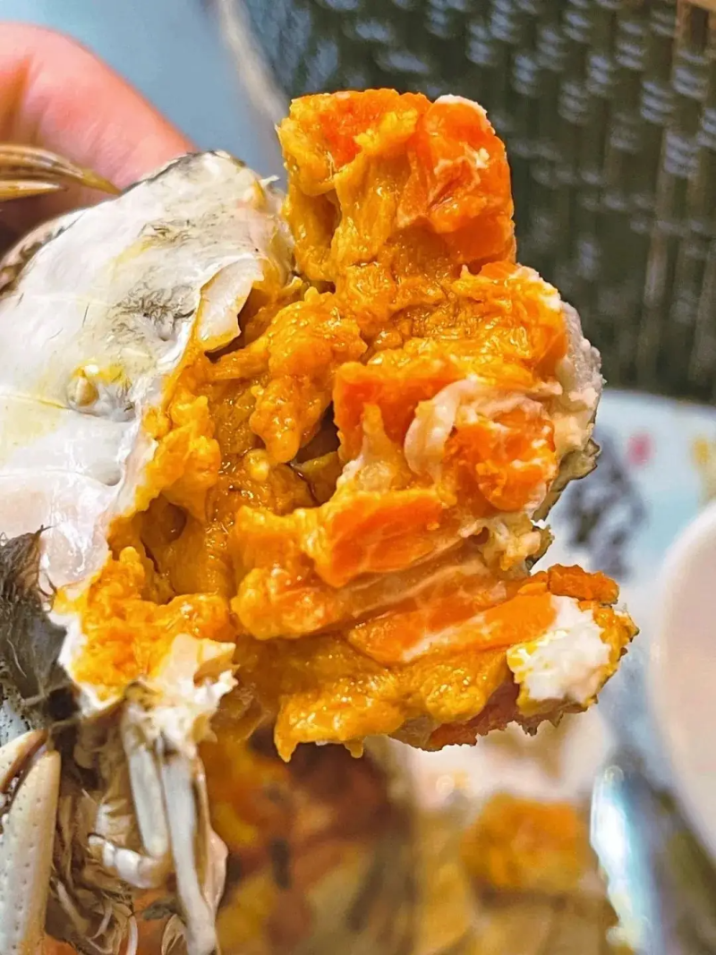 产地直发一手货源规格齐全盘锦本地稻田河蟹自产自销