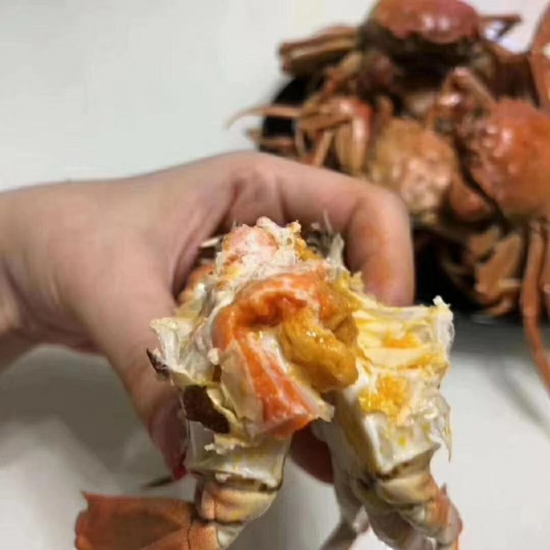 产地直发一手货源规格齐全盘锦本地稻田河蟹自产自销