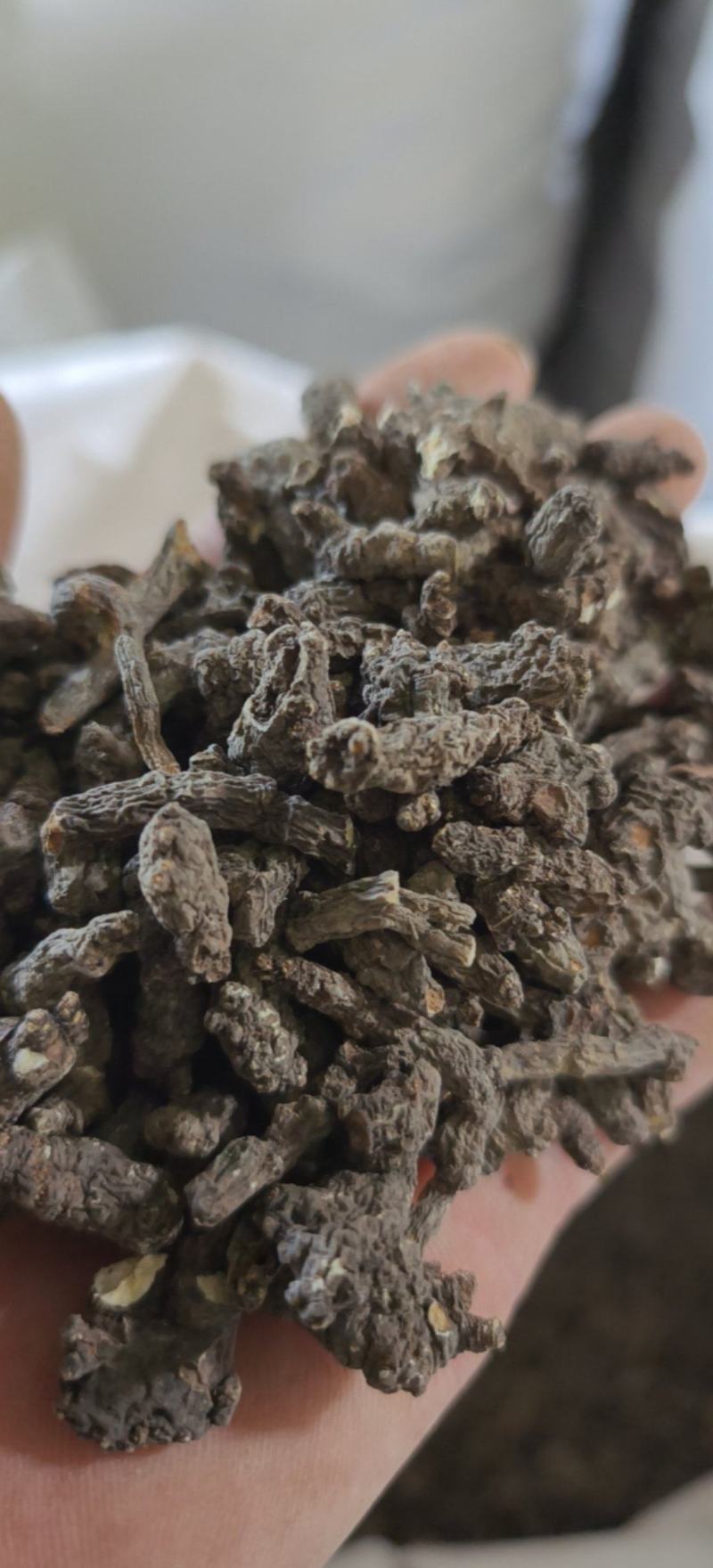 天葵子