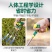 挖野菜神器挖蒜锰钢小铲子挖荠菜园艺铁铲种花挖土除草工具户