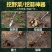 挖野菜神器挖蒜锰钢小铲子挖荠菜园艺铁铲种花挖土除草工具户