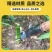 新款掰玉米丫子神器农用掰苞米丫除苗打叉红薯掐腕专用工具免