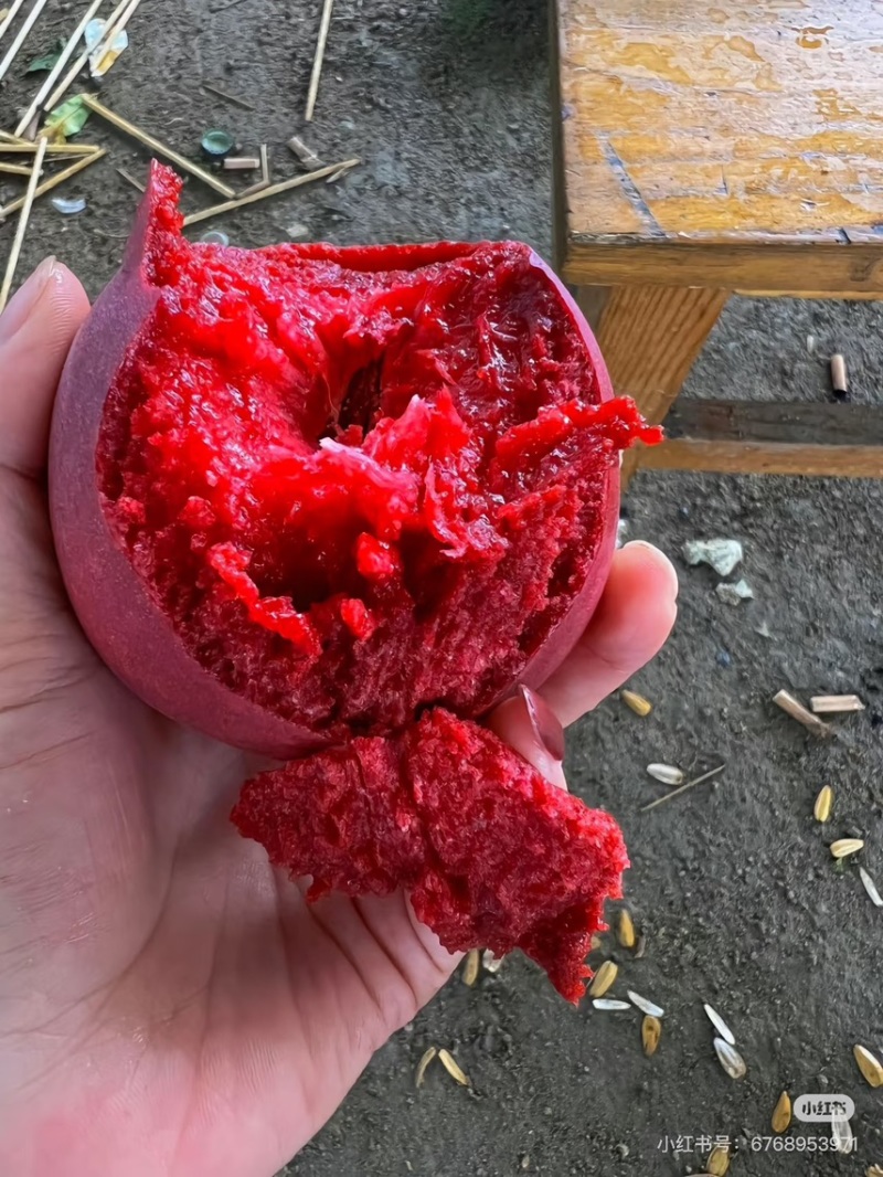 正宗朱砂红血桃（电商一件代发）日发万单
