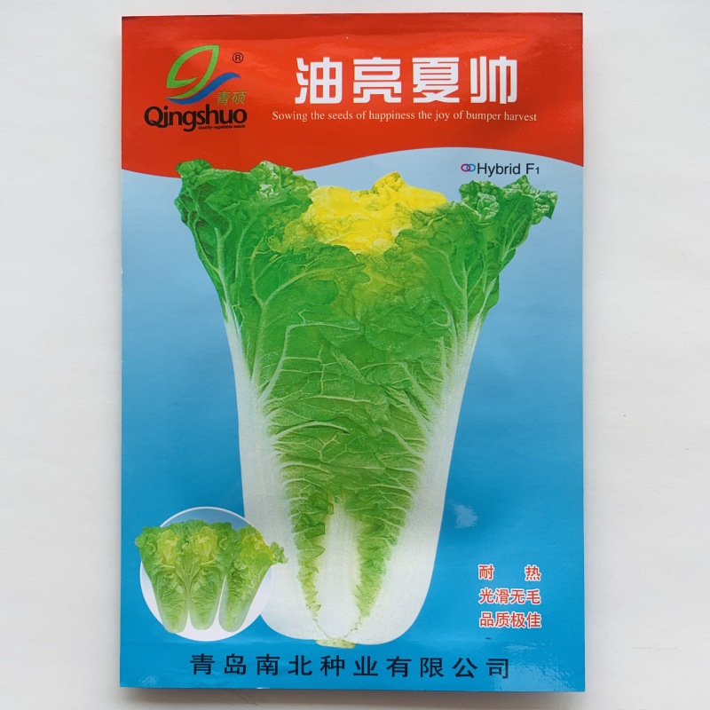 油亮夏帅大白菜耐湿抗热抗病性强菜种子夏播菜速生小白菜