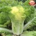 油亮夏帅大白菜耐湿抗热抗病性强菜种子夏播菜速生小白菜