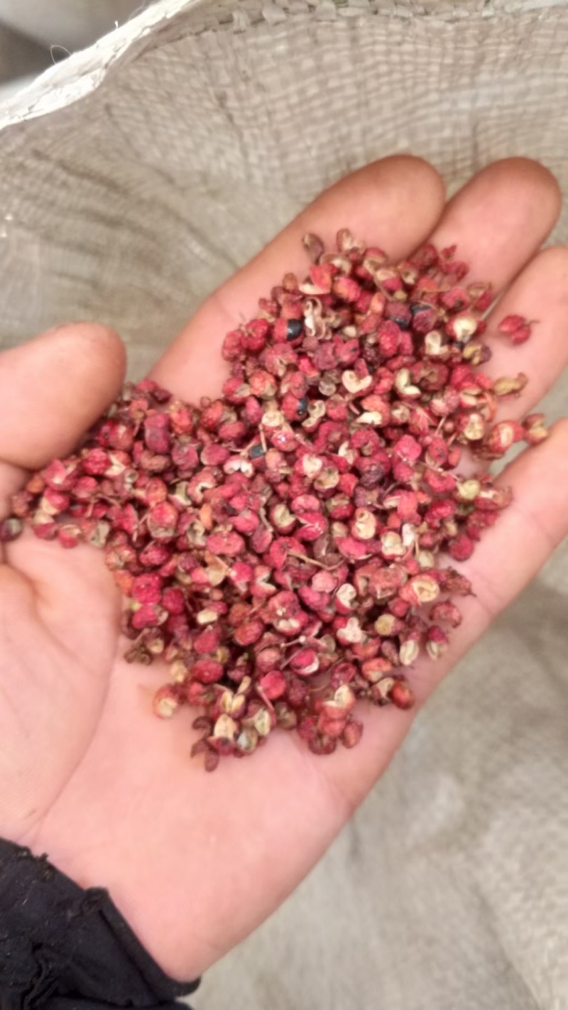特麻特香花椒麻辣鲜香大量供应支持，零售批发，欢迎咨询