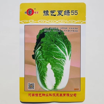 早熟耐热白菜种孑豫艺夏绿55大白菜种子夏秋季蔬菜