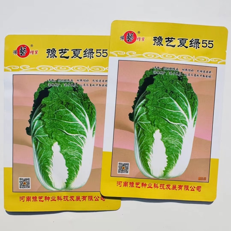 早熟耐热白菜种孑豫艺夏绿55大白菜种子夏秋季蔬菜