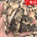 【实拍】陕西商洛优质高含量猪苓净货猪苓片朱苓猪屎苓