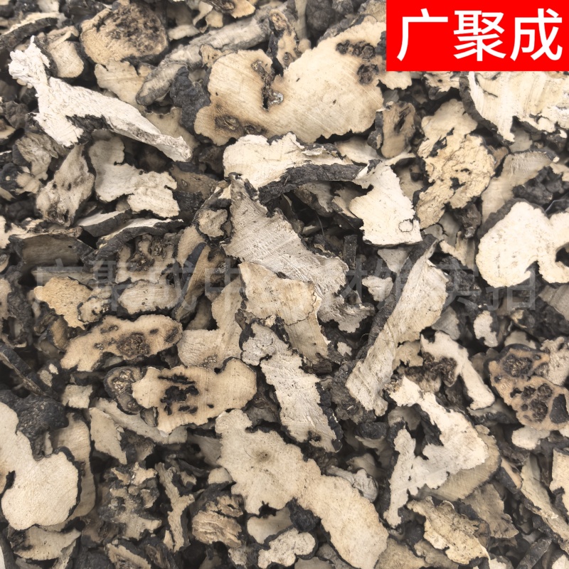 【实拍】陕西商洛优质高含量猪苓净货猪苓片朱苓猪屎苓