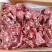 多肉羊蝎子