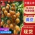 精品黄皮大量上市优质货源，量大从优，全国发货，致电联系