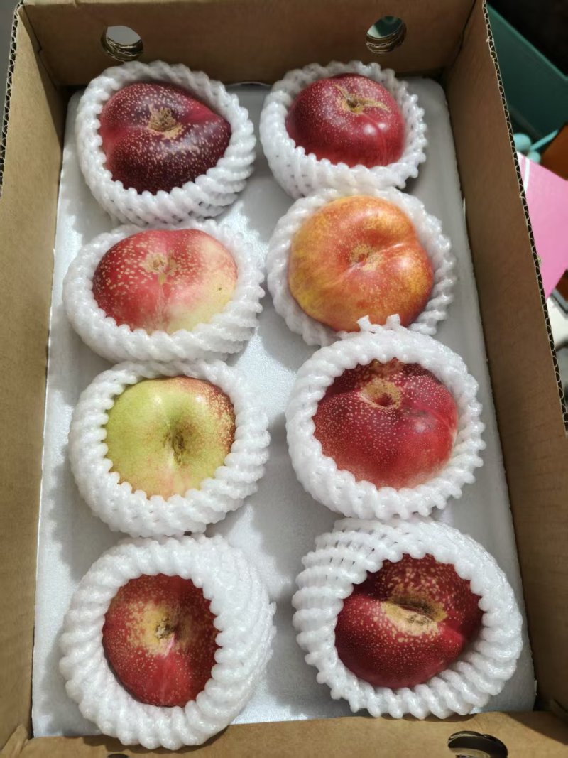 温室大棚油蟠桃