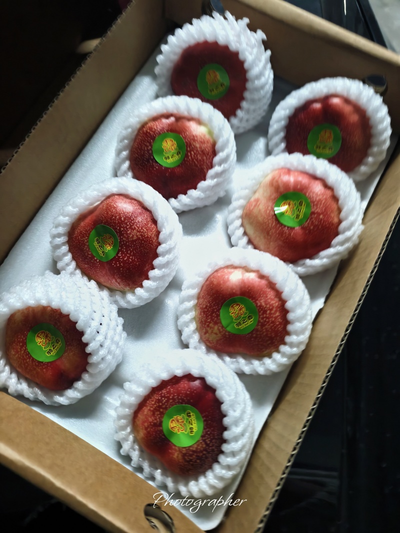 温室大棚油蟠桃