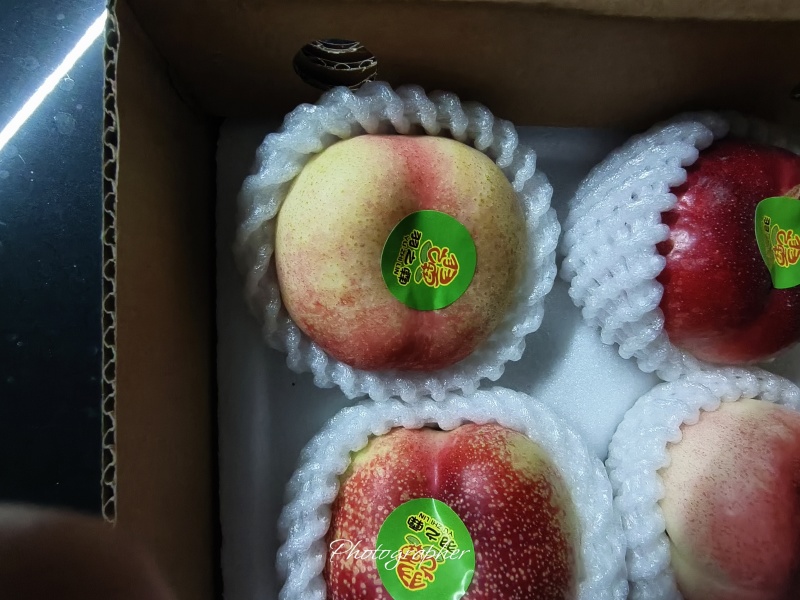 温室大棚油蟠桃