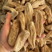黄天麻大货批发40头内一公斤20个500克一手货源