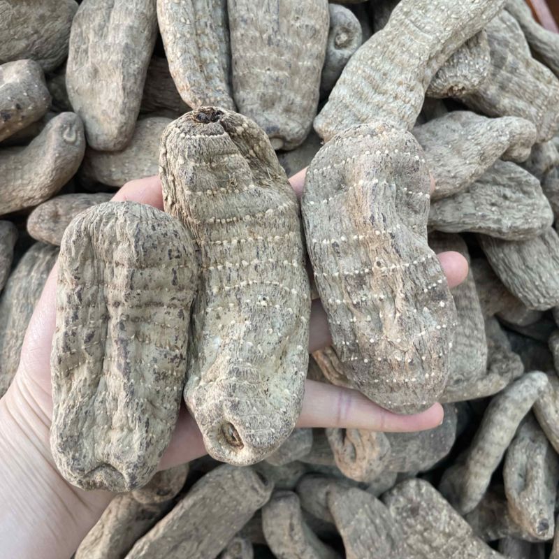 乌天麻大货批发6个500克一公斤12头