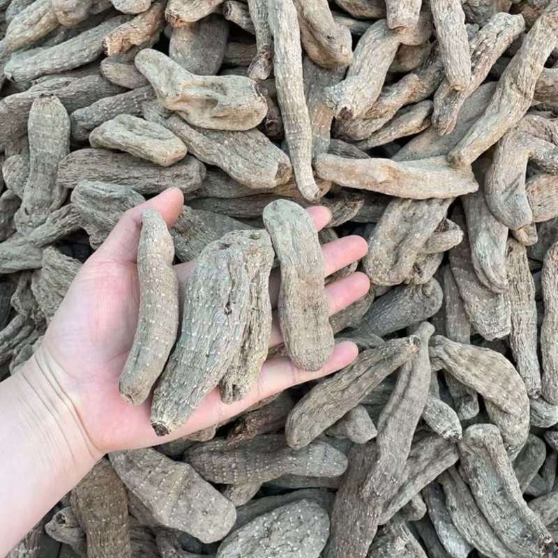乌天麻大货批发16个左右500克