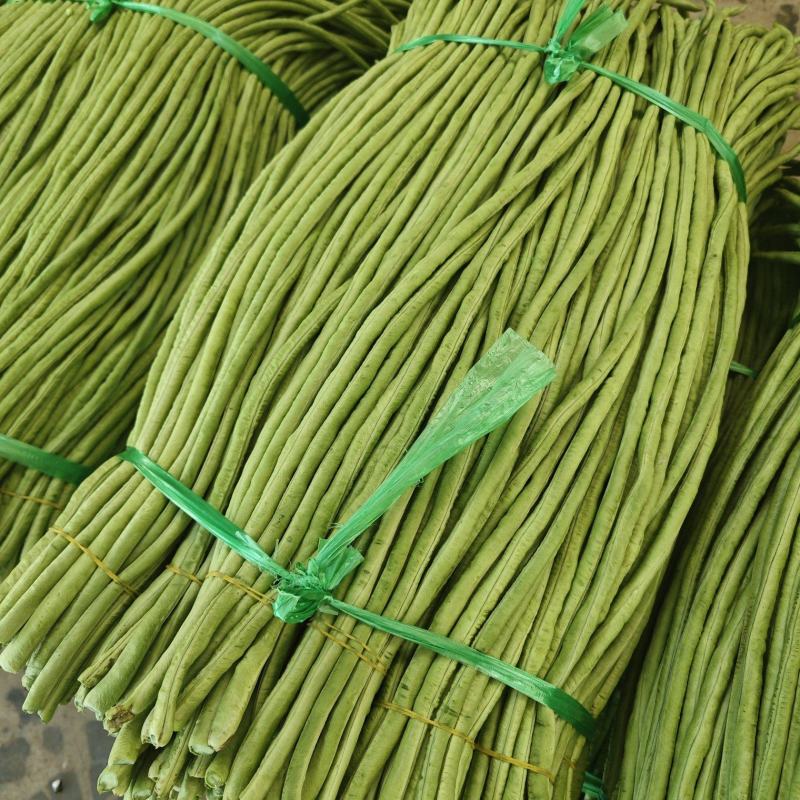 广东湛江徐闻长豆角精品青条豆角产地直发大量供应专业打冰
