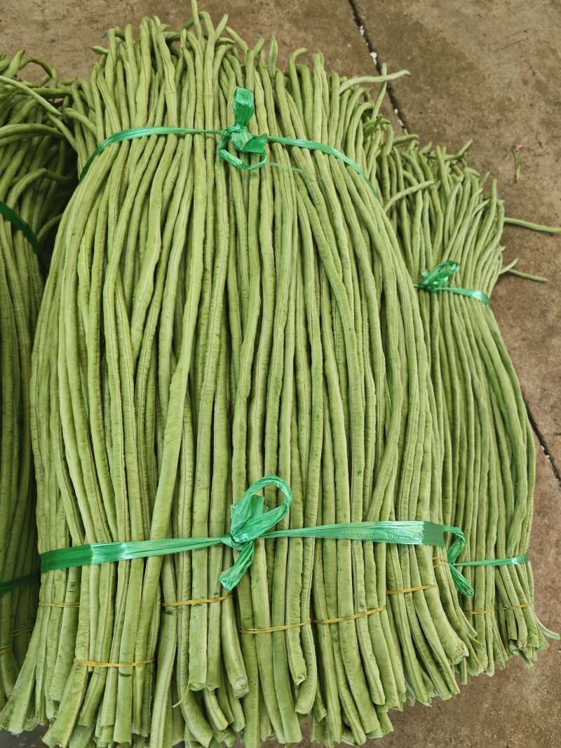 广东湛江徐闻长豆角精品青条豆角产地直发大量供应专业打冰
