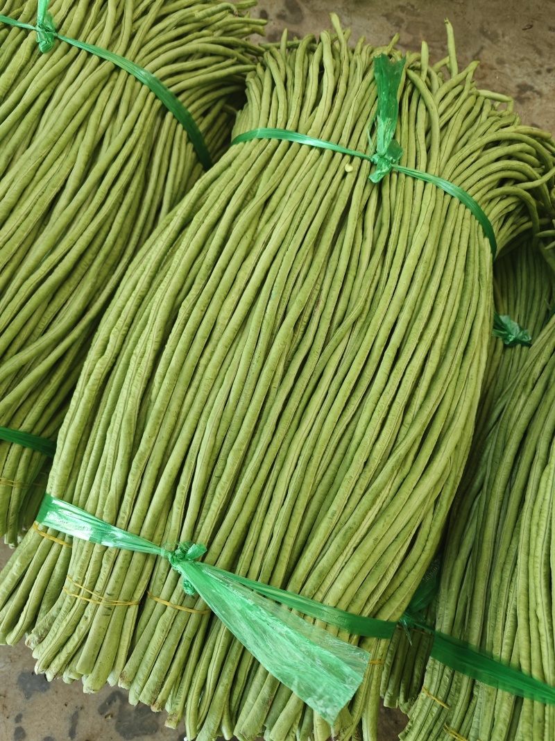 广东湛江徐闻长豆角精品青条豆角产地直发大量供应专业打冰