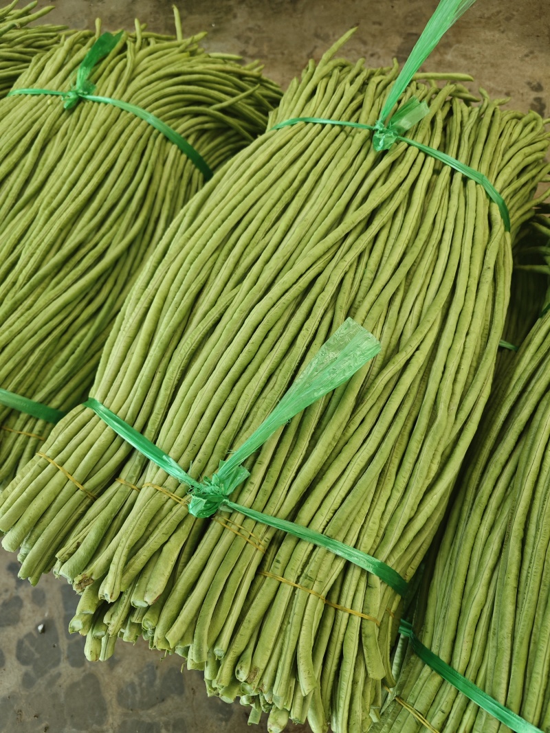 广东湛江徐闻长豆角精品青条豆角产地直发大量供应专业打冰